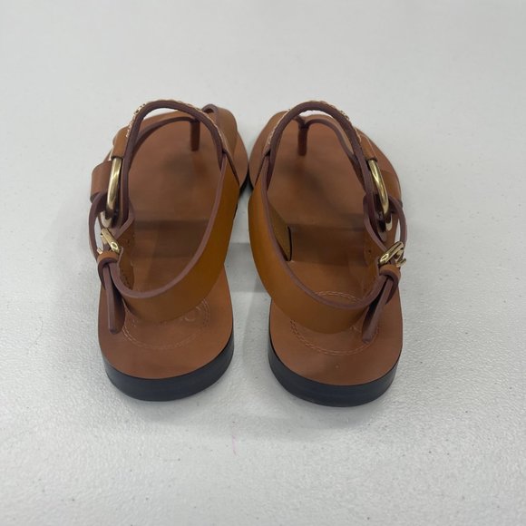 Chloe Shoes Chloe Demi Flat Leather Thong Sandals W Buckled Ankle